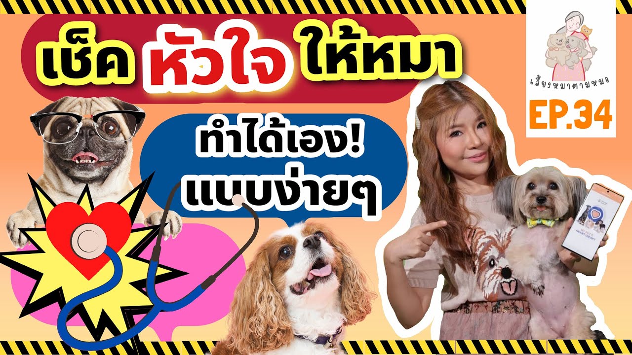 EP.34 สอนเช็ค 