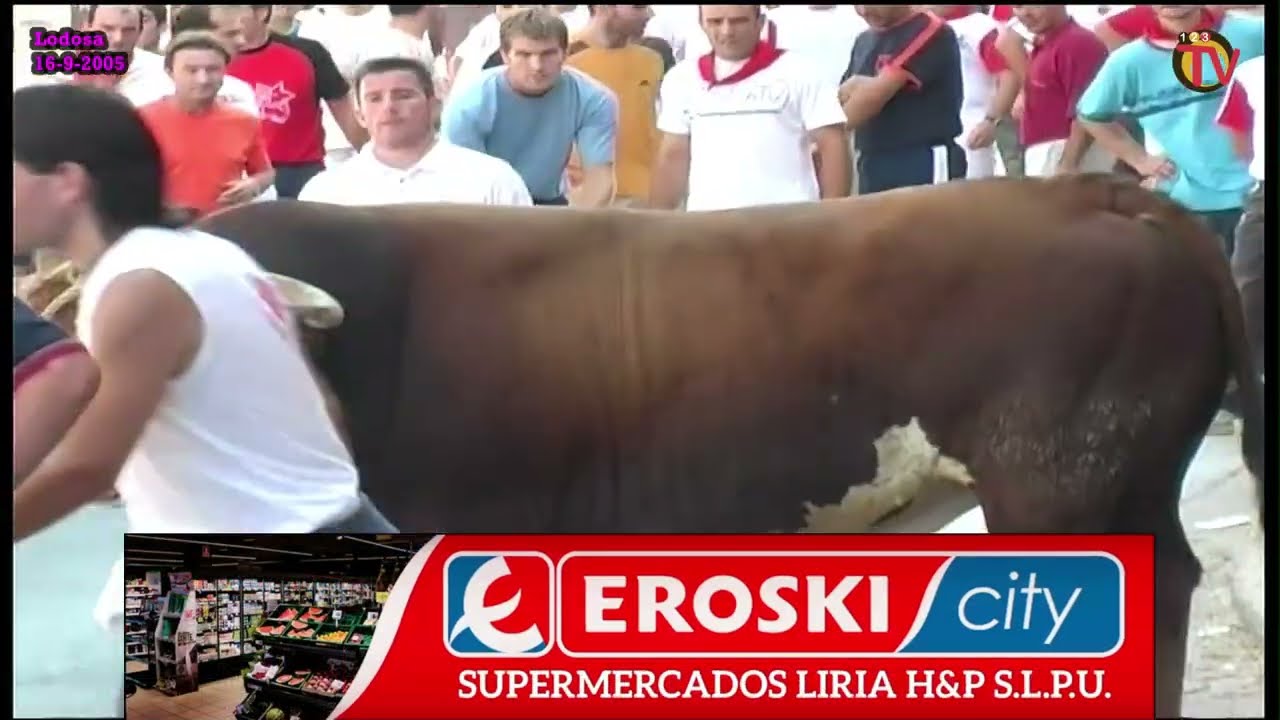 2005 TORO SOGA LODOSA día 16 septiembre  (mañana 1ª parte)