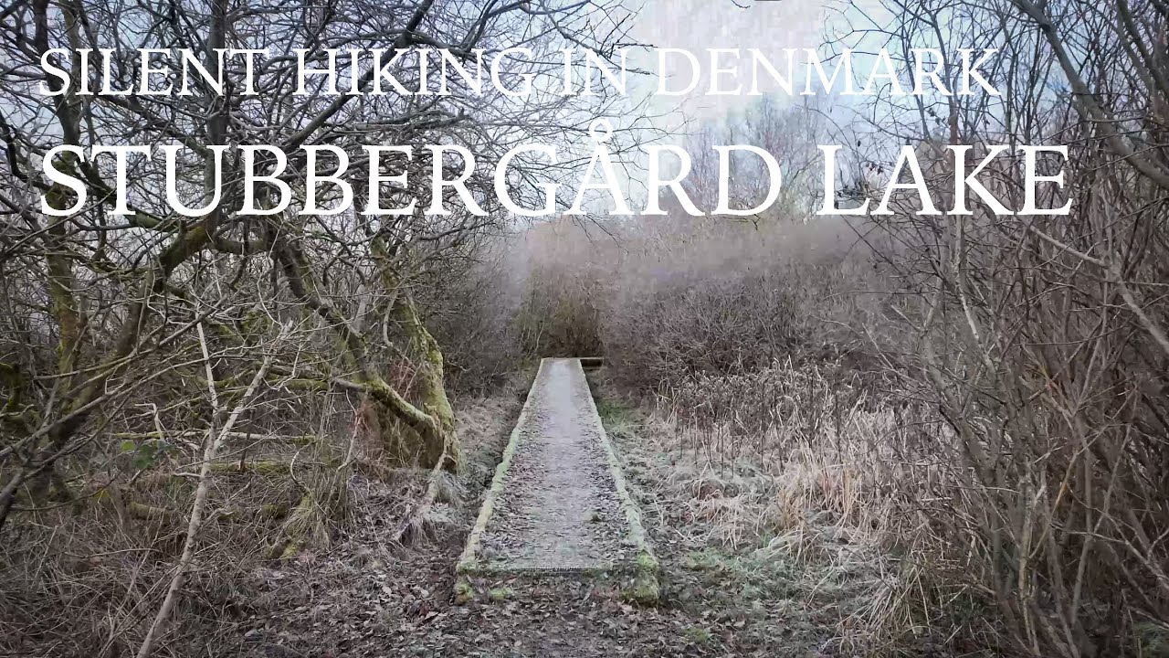 Stubbergaard Lake - Stubbergaard Monastery - Naturen i Danmark - Silent Hiking in Denmark