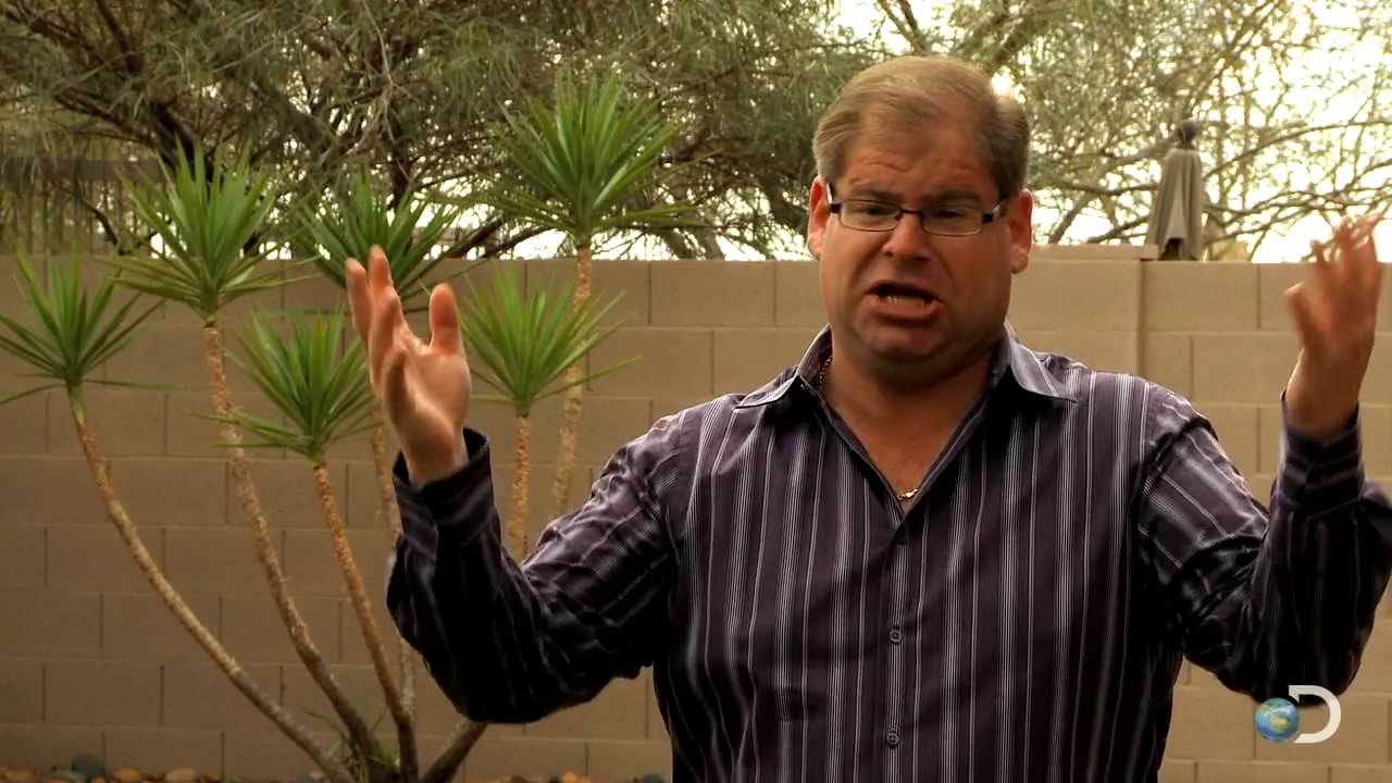 Uninvited Pests | Property Wars