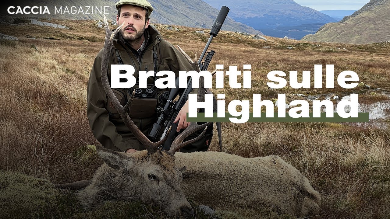 Caccia al cervo sulle Highland scozzesi