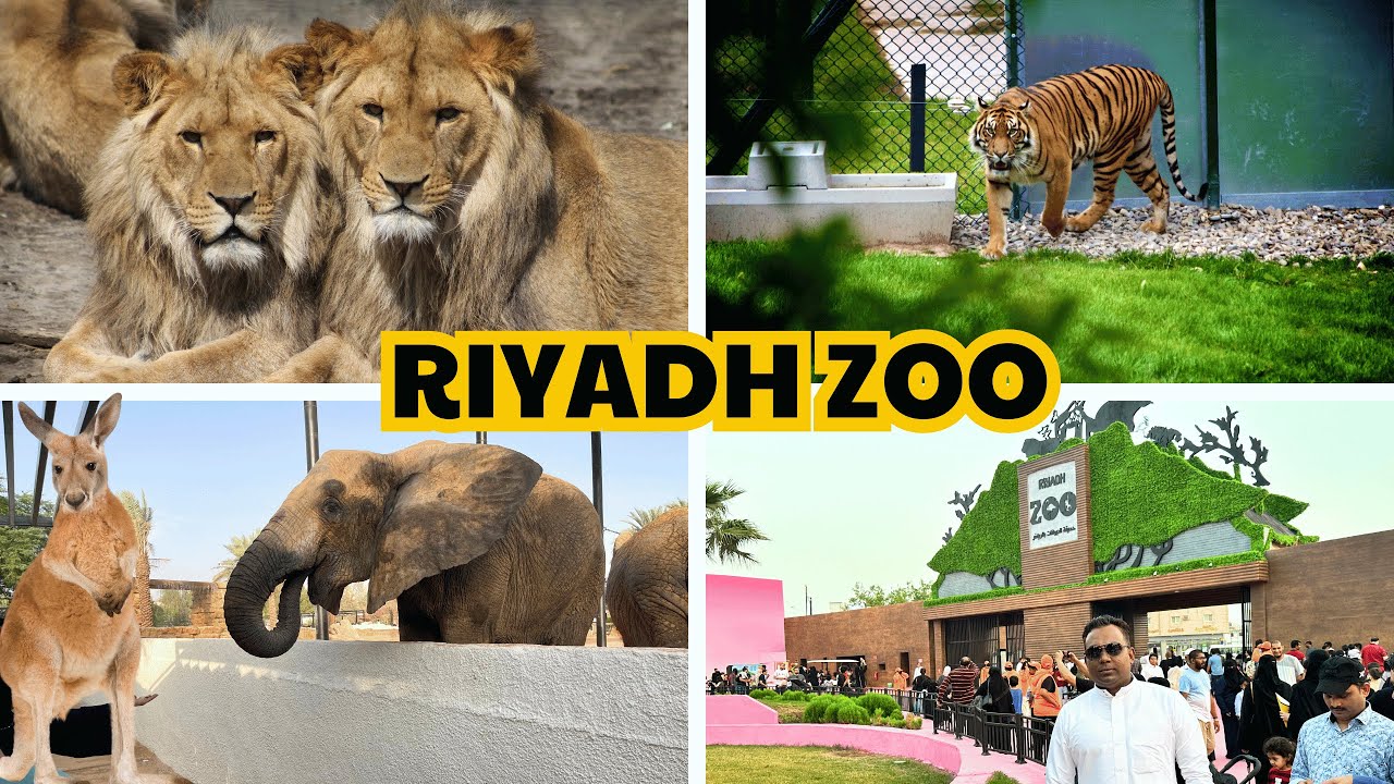 Riyadh Zoo सऊदी का चिड़िया घर | Riyadh Season Mein Riyadh Zoo Aisa Ho Gaya 🦁