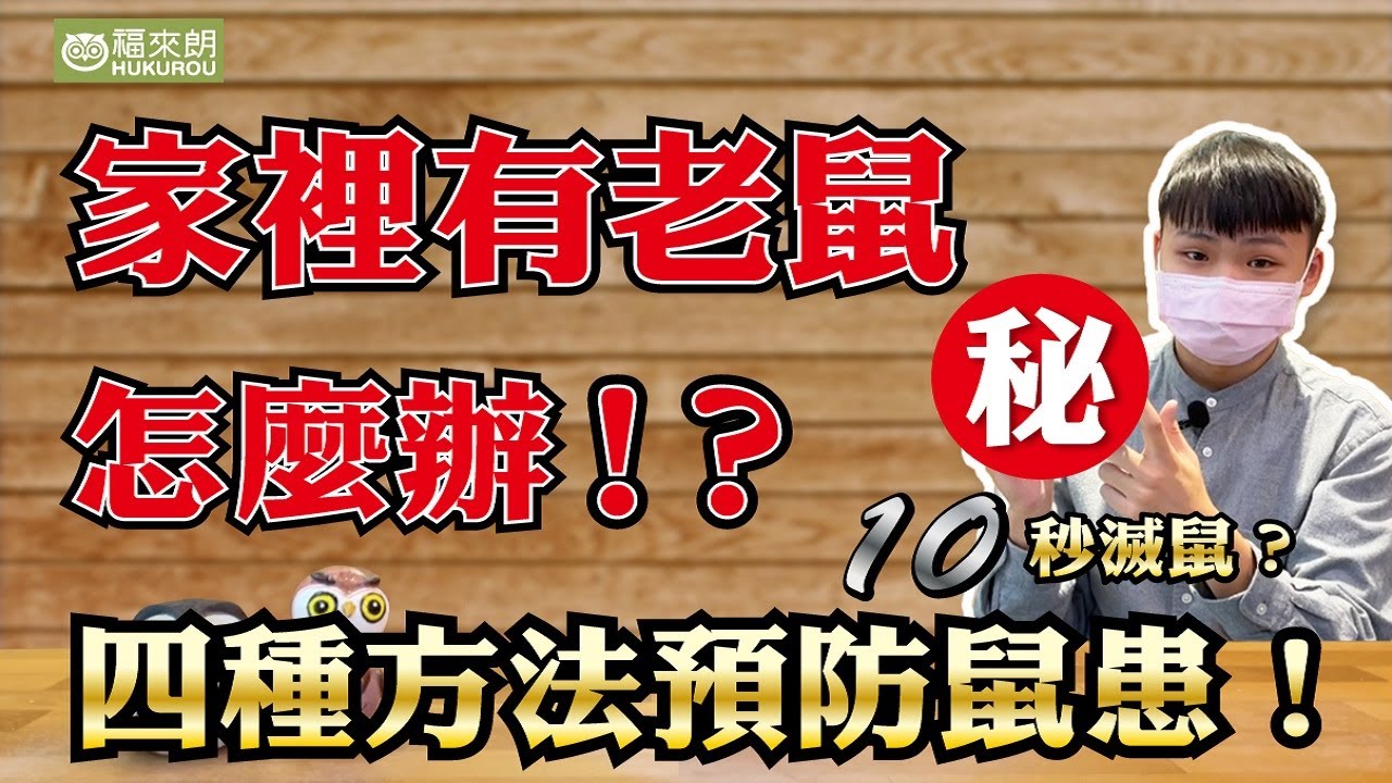 預防老鼠4大方法！讓老鼠再也不敢進你家。超強捕鼠神器，十秒解決老鼠!？