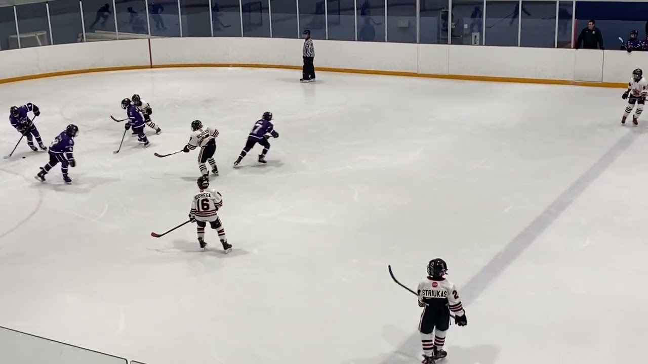 London Jr Mustangs Purple vs Cambridge Hawks // U11 // Feb 7, 2026