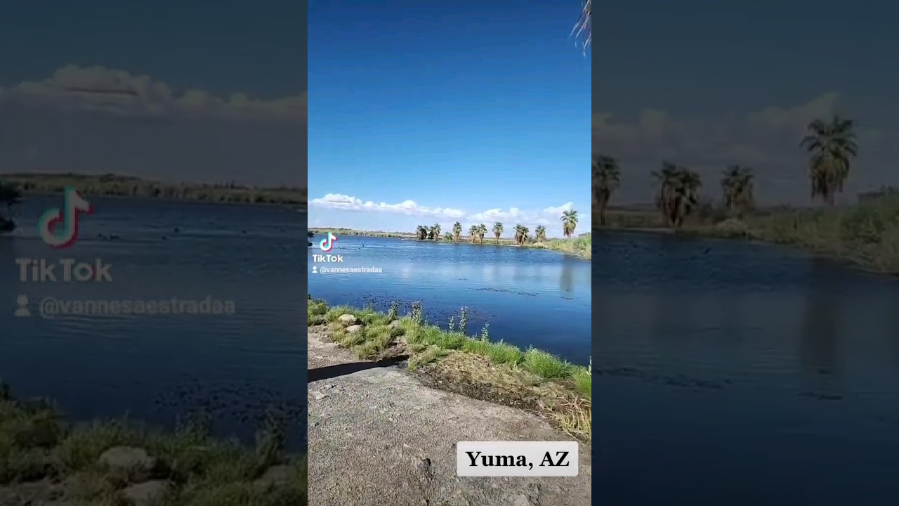 Yuma, Arizona 💛