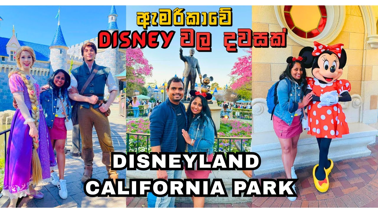 ඇමරීකාවේ Disneyland වල ගත කරපු ලස්සනම දවසක් | Disneyland Park California | Disney Sinhala Vlog