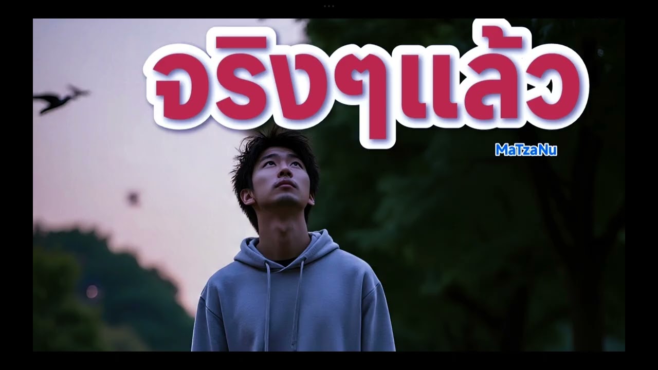 จริงๆแล้ว  (official Audio )