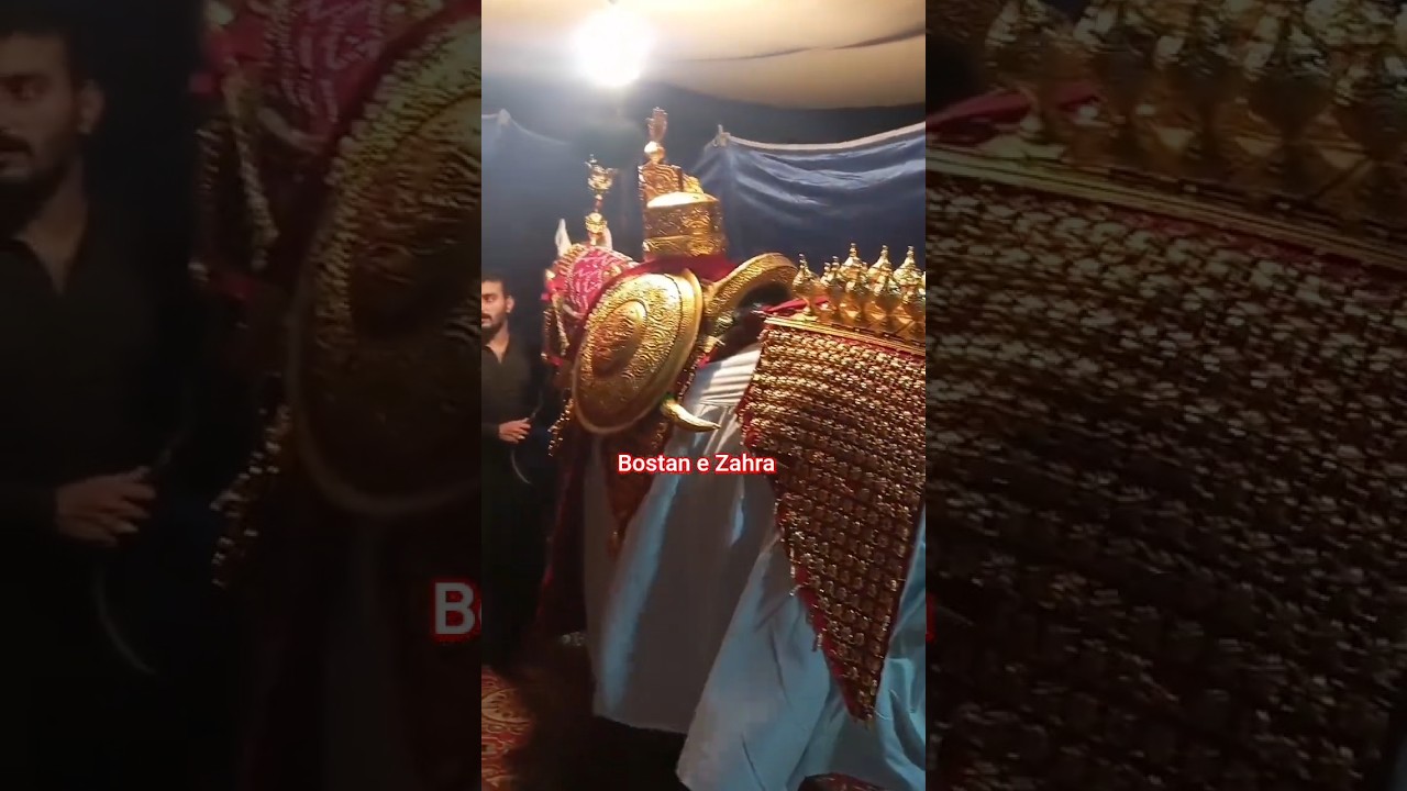 zuljana baramad #yaali #viralvideo #fouryourpag #islamicfigure #islam #zuljanah #2025 #four #shorts