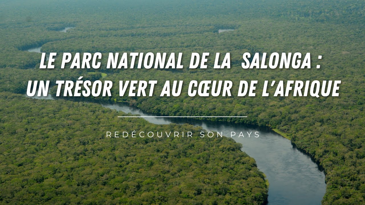 Découvrez le parc national de la  Salonga : Un Trésor Vert au Cœur de l'Afrique
