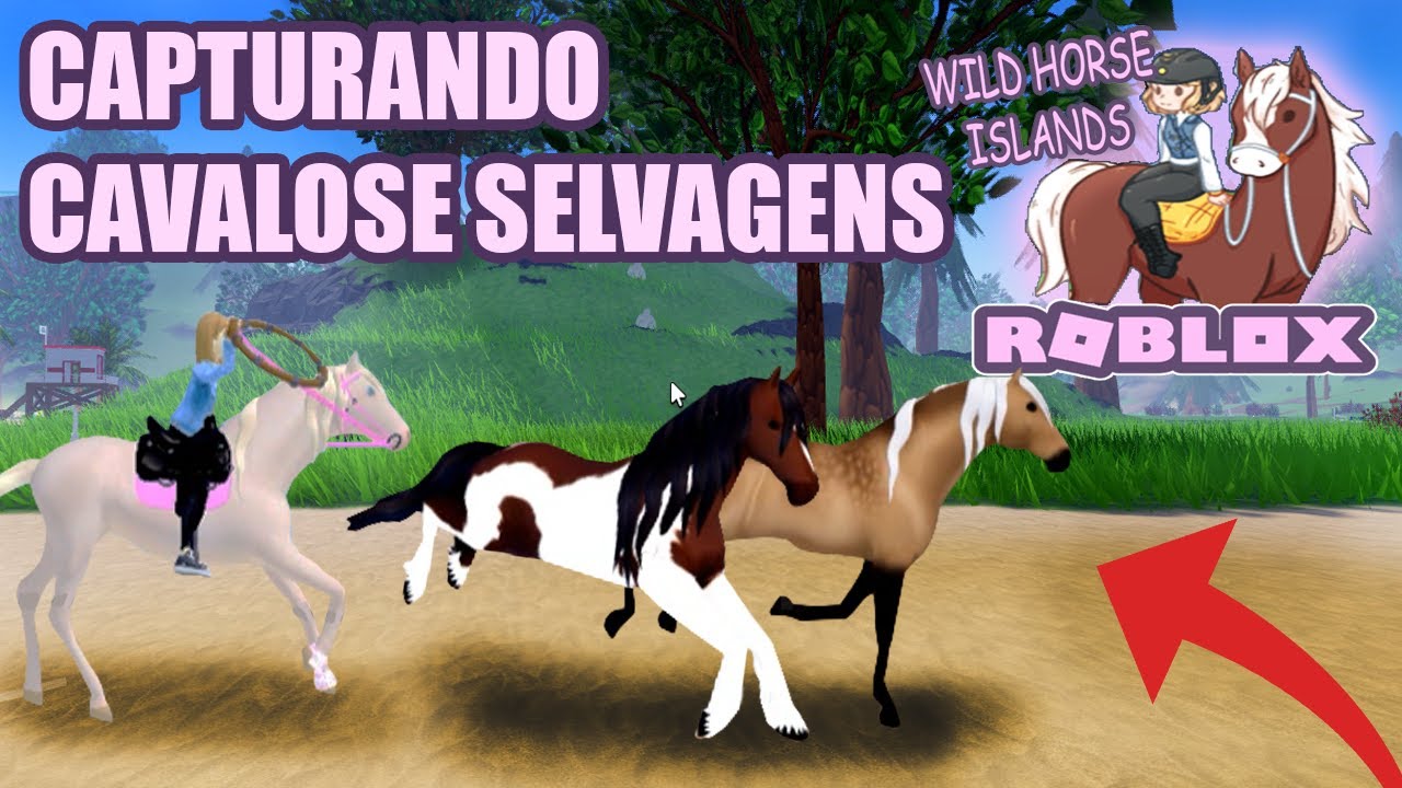 CAPTURANDO OS MELHORES CAVALOS SELVAGENS  - wild horse islands ROBLOX
