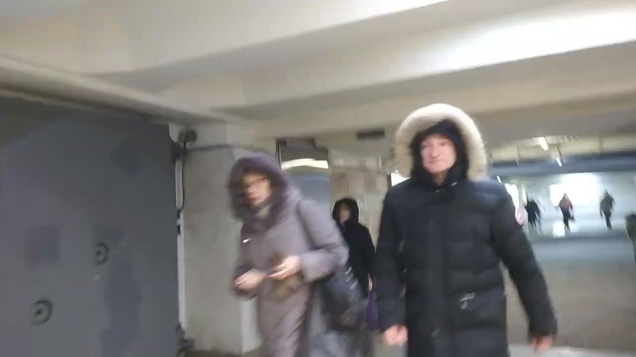 Поезд Москва на станции Ясенево