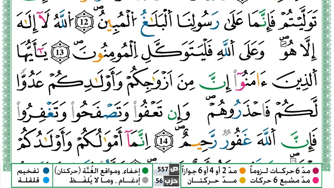 سورة التغابن القسم الثاني مكرر ياسين الجزائري برواية ورش عن نافع