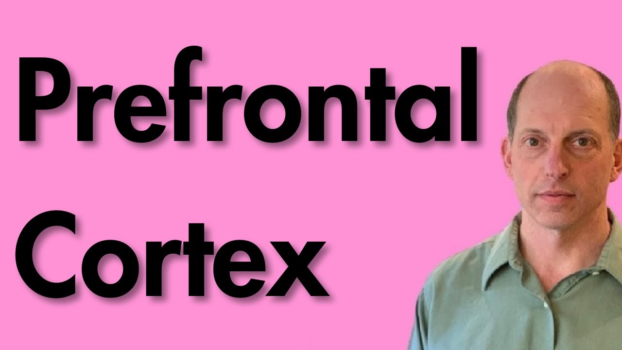 Prefrontal Cortex and ADHD