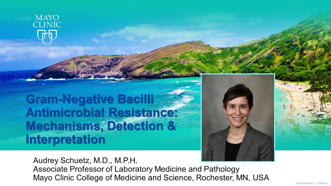 Gram-Negative Bacilli Antimicrobial Resistance by Audrey N. Schuetz, MD | Preview