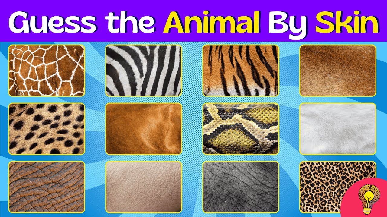 Guess the Animal by the Skin