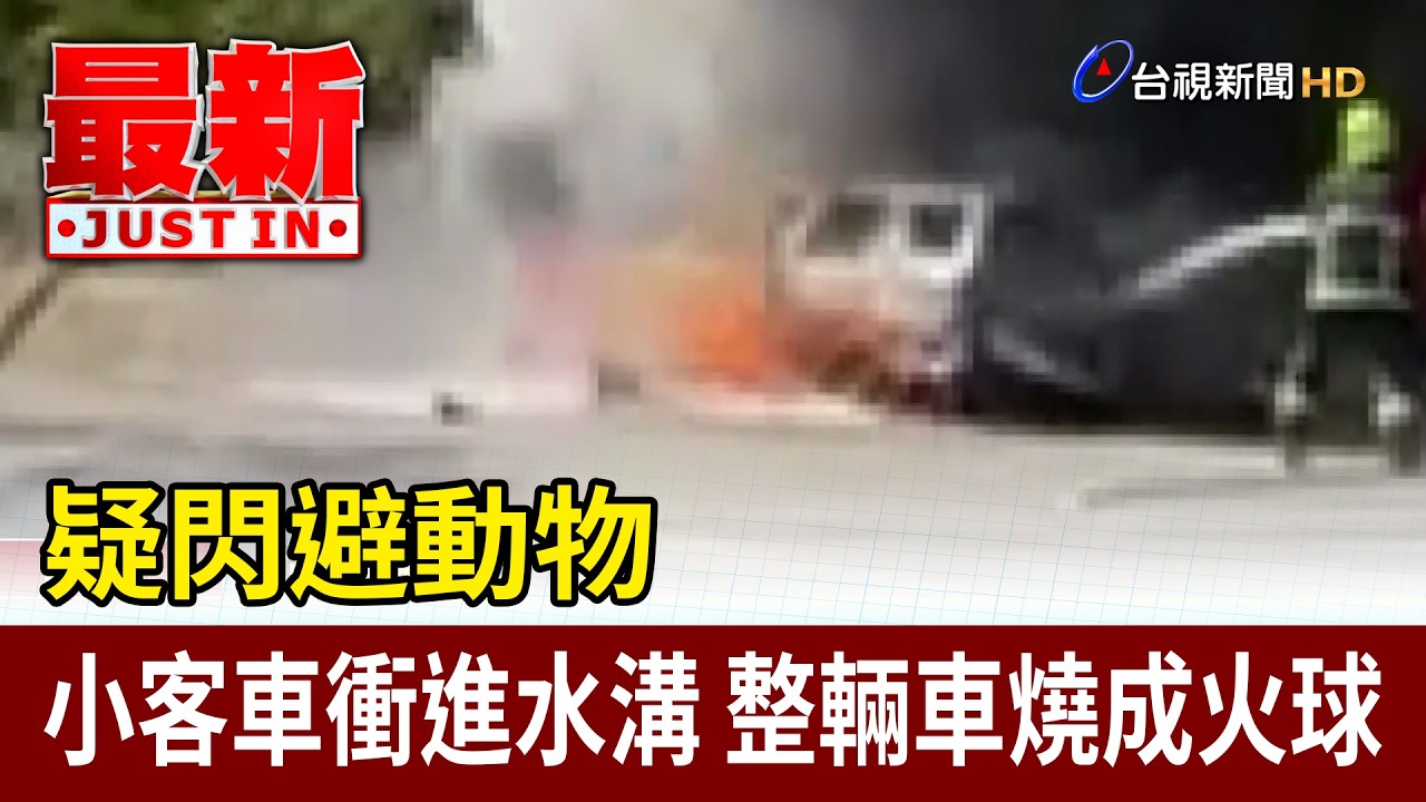 疑閃避動物 小客車衝進水溝 整輛車燒成火球【最新快訊】