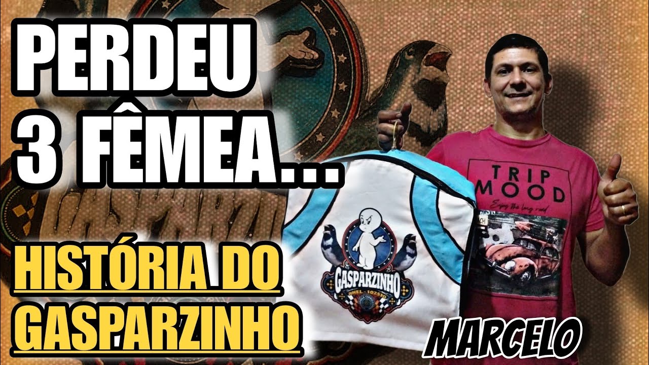 vejam o PASSO a PASSO do ACERTO desse filhote de COLEIRO fenomenal!
