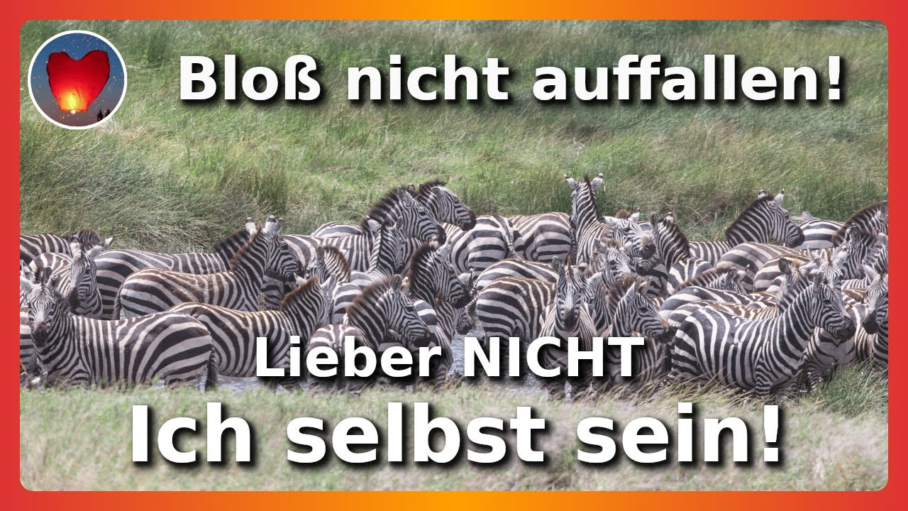Versuchst du 