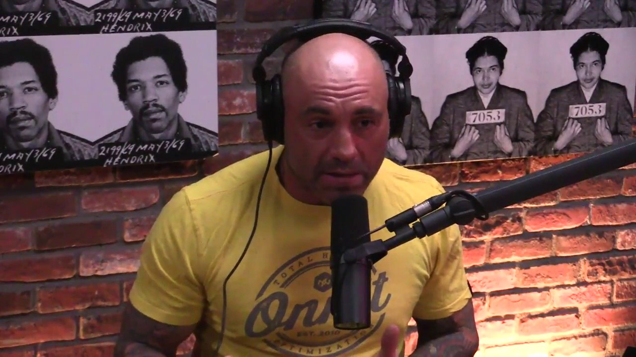 Joe Rogan & Gad Saad - Islamic Immigration