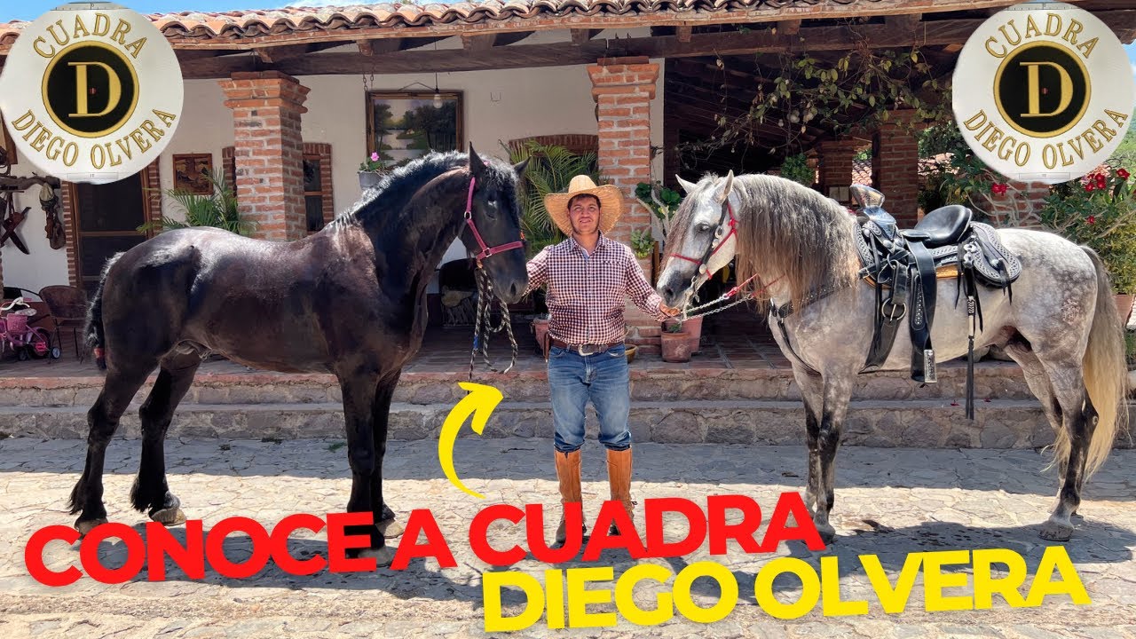CONOCE A CUADRA DIEGO OLVERA Y SUS CABALLOS DE MUCHA FAMA