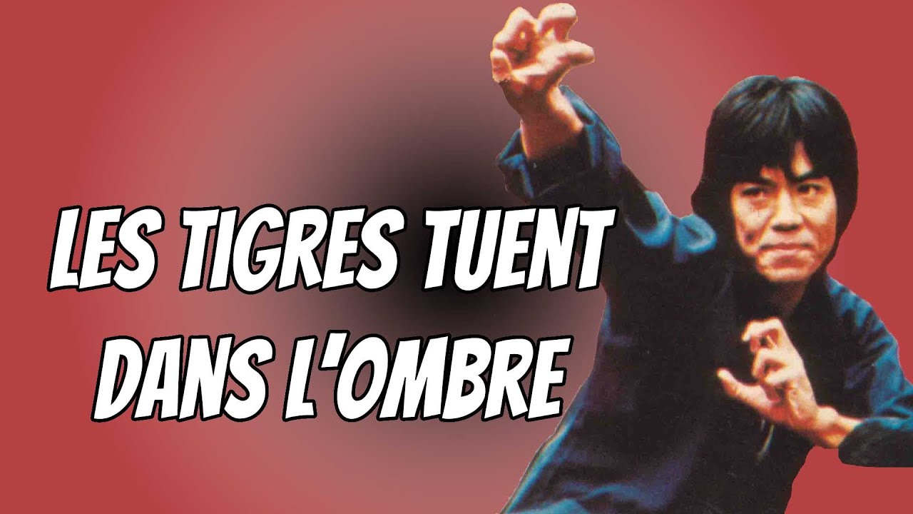 Wu Tang Collection - Les Tigres tuent dans l&rsquo;ombre - Two Assassins Of The Darkness