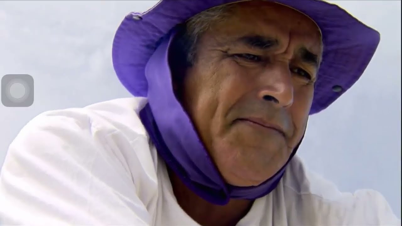 Retomada do algodão em consórcios agroecológicos no Nordeste - Globo Rural