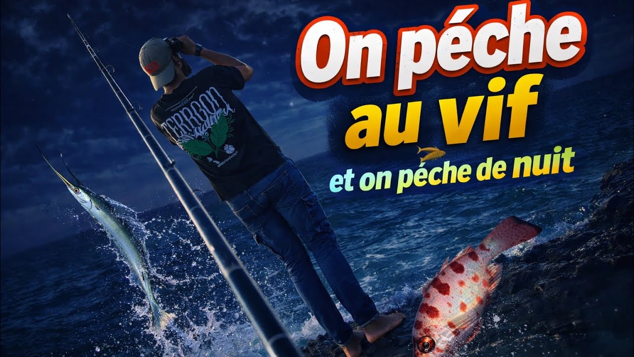 ON PÊCHE au VIF et ET LA NUIT🎣🇷🇪 #pêche #fhising #poisson #lareunion #974#lamer 