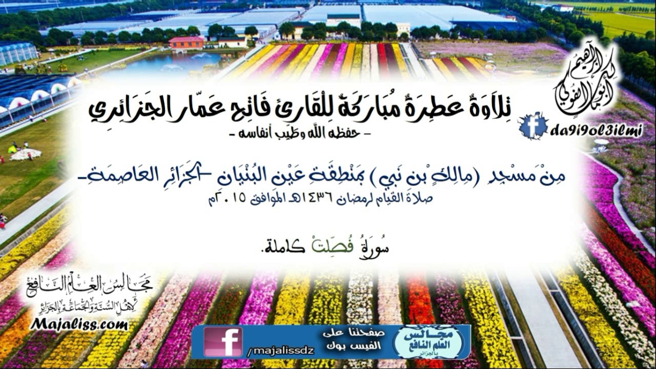 (سورة فصلت) / القارئ الشيخ فاتح عمّار الجزائري -حفظه الله-