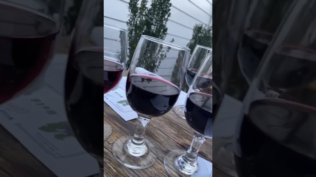 Elvie&rsquo;s monthly wine club tasting