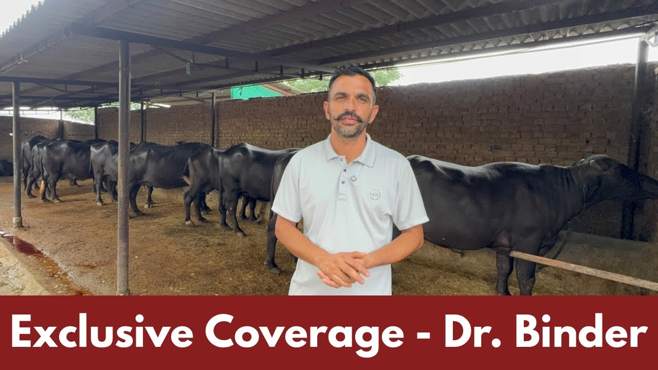 मशहूर ब्रीडर और डॉक्टर भाई बिंदर का पूरा फार्म - Exclusive Coverage from Dr. Binder’s Dariy Farm