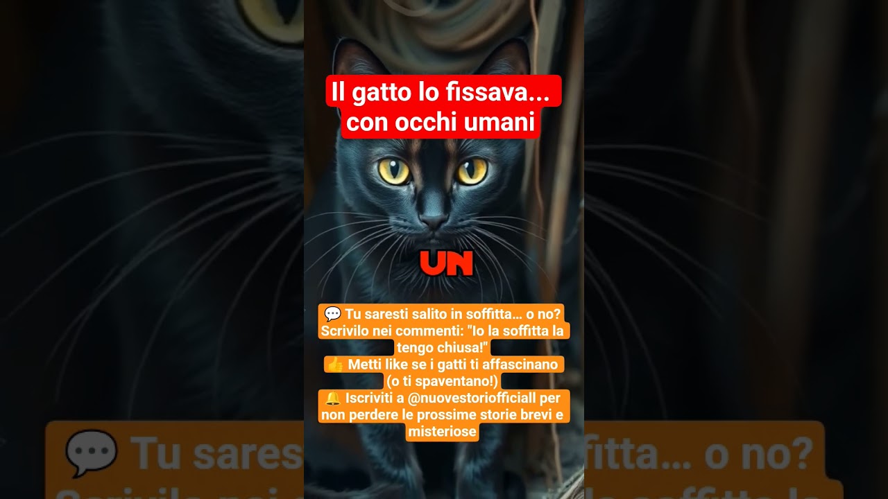 Il gatto della soffitta 🐱🌑 | Una scoperta inquietante #storieillustrate #catstory #cat #shorts #ai
