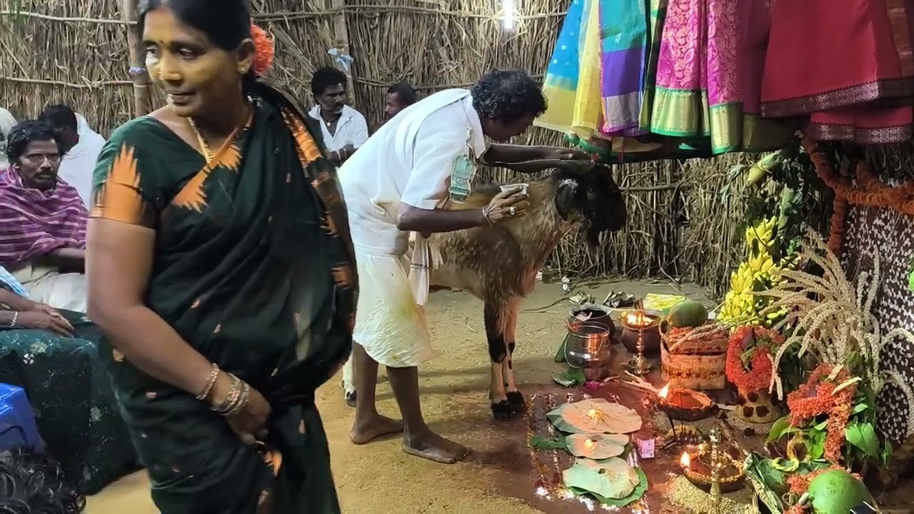 rajana ramamurty dasaradhapuram gavvu