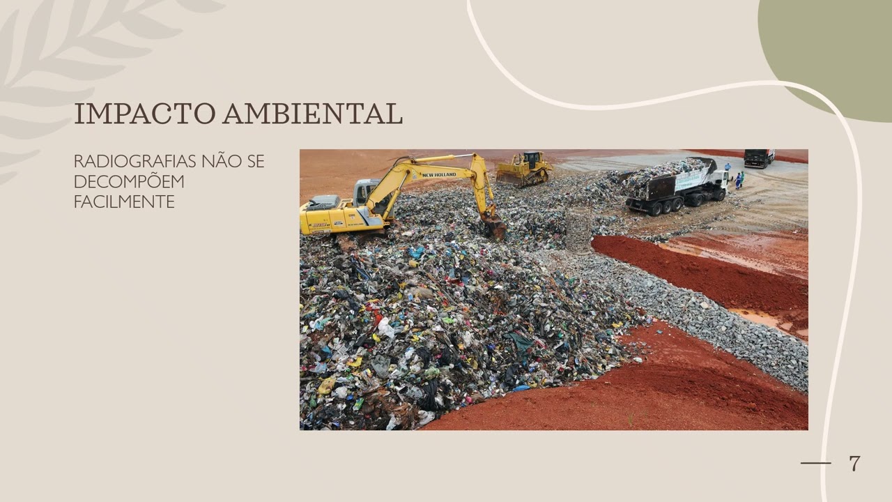 8 de fevereiro de 2026