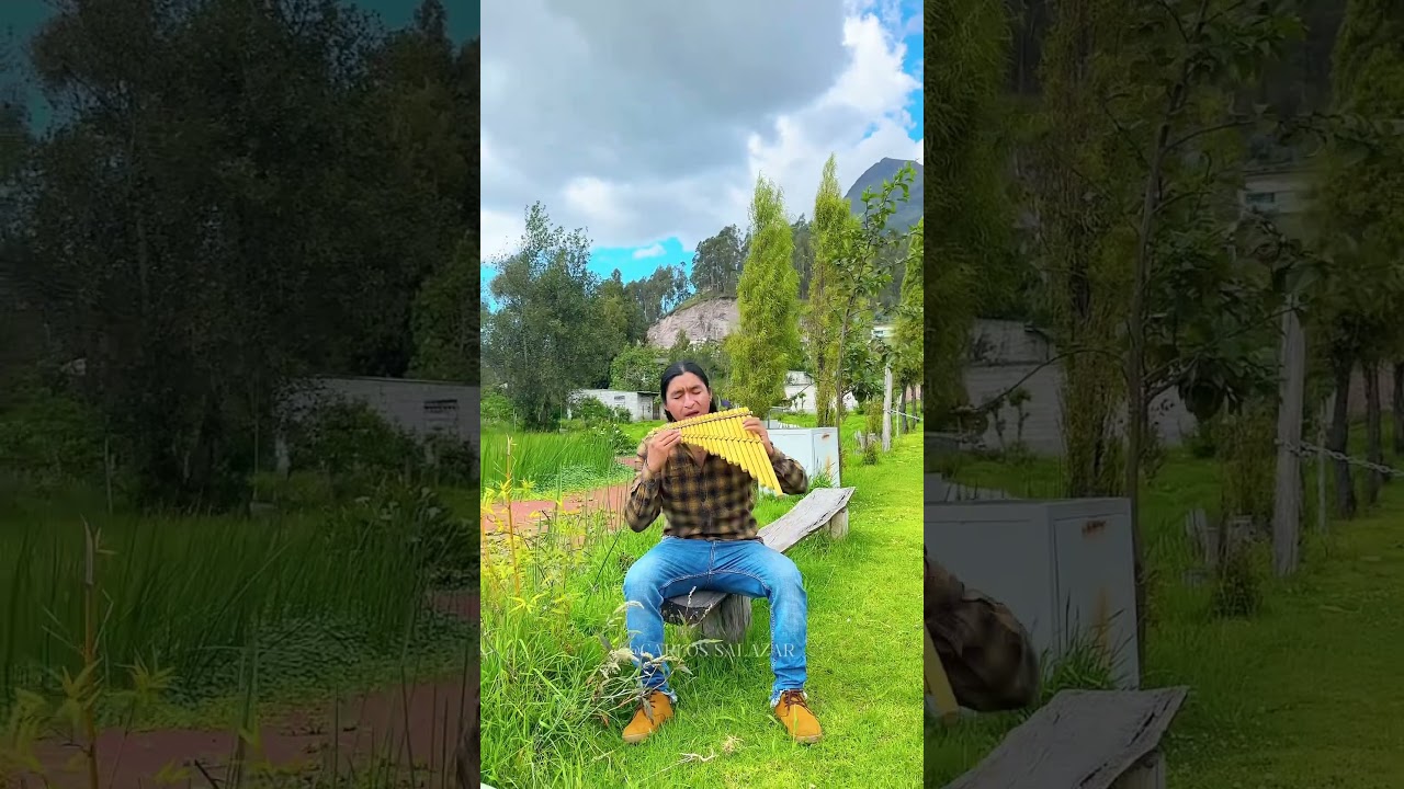 Yesterday - The Beatles #subscribe #panflute #beautiful #nature #fypシ゚