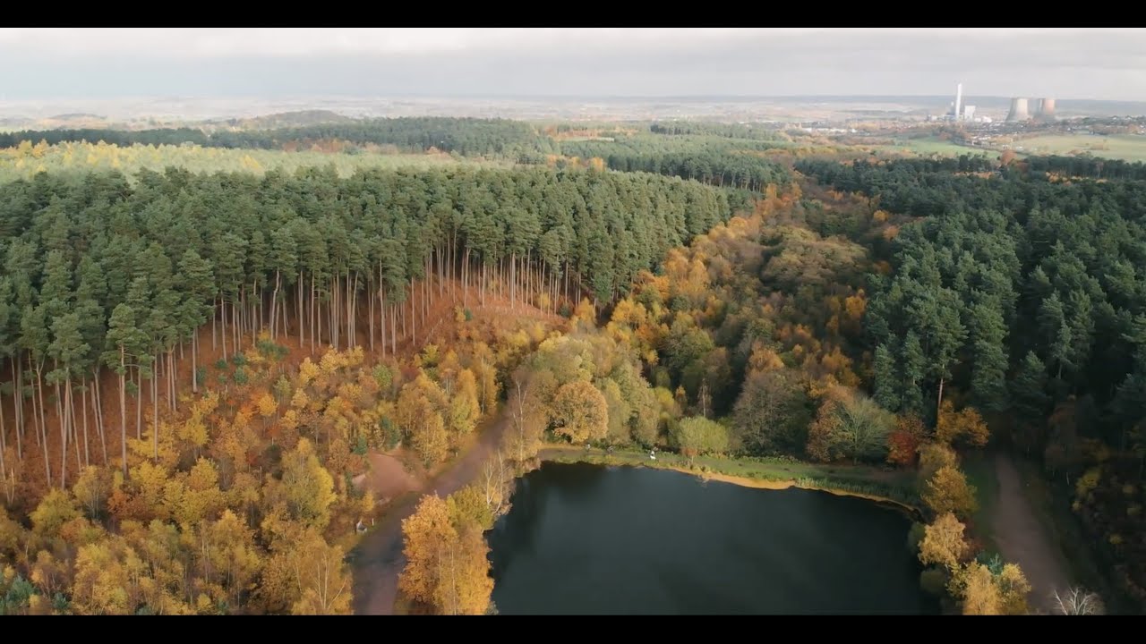 England's Cannock Chase Forest—Area of Outstanding Natural Beauty (Bisekleta Bisaya—Ep2)