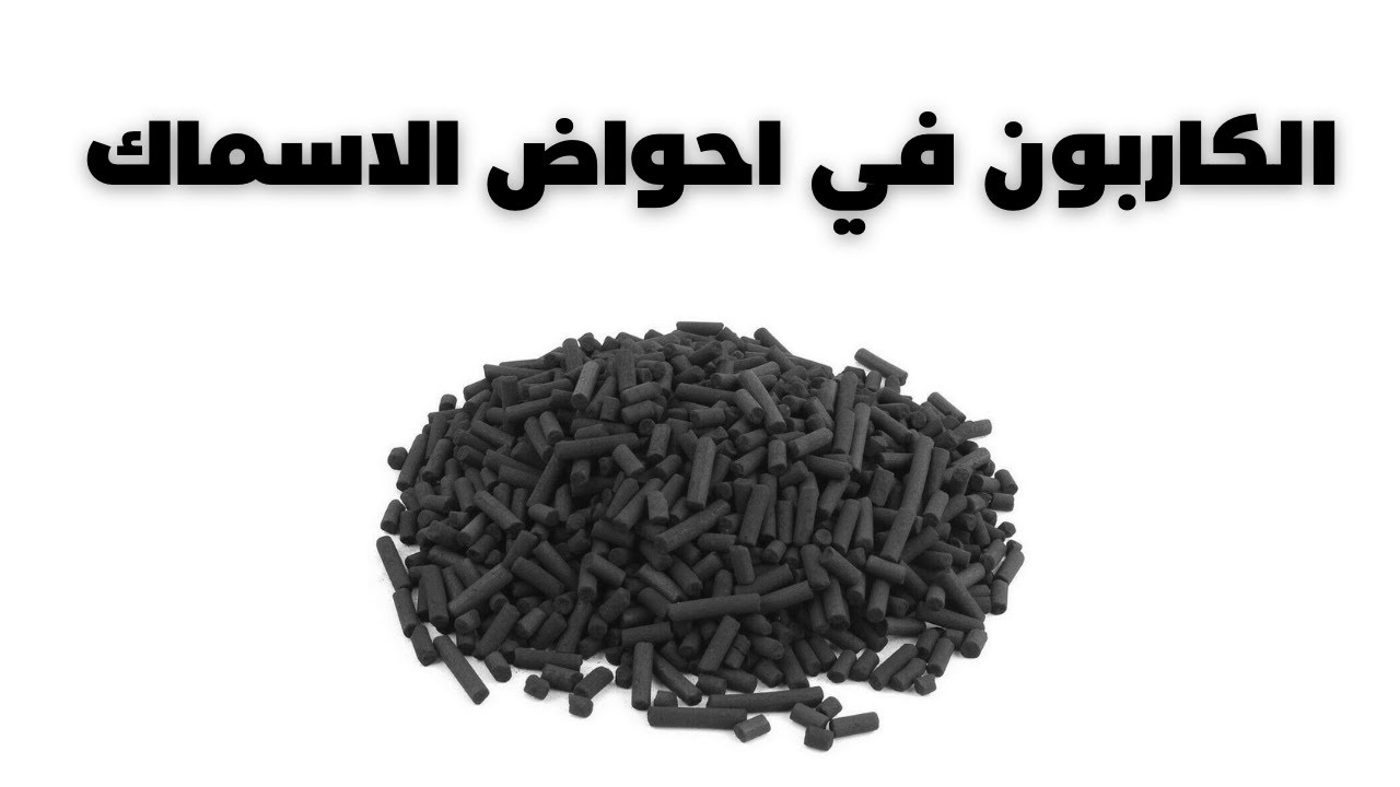Tank Carbon  😏  ...   الكاربون في احواض الاسماك ؟