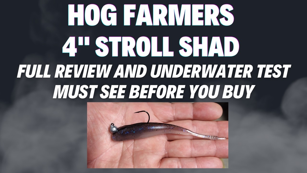Will this new strolling bait catch them?