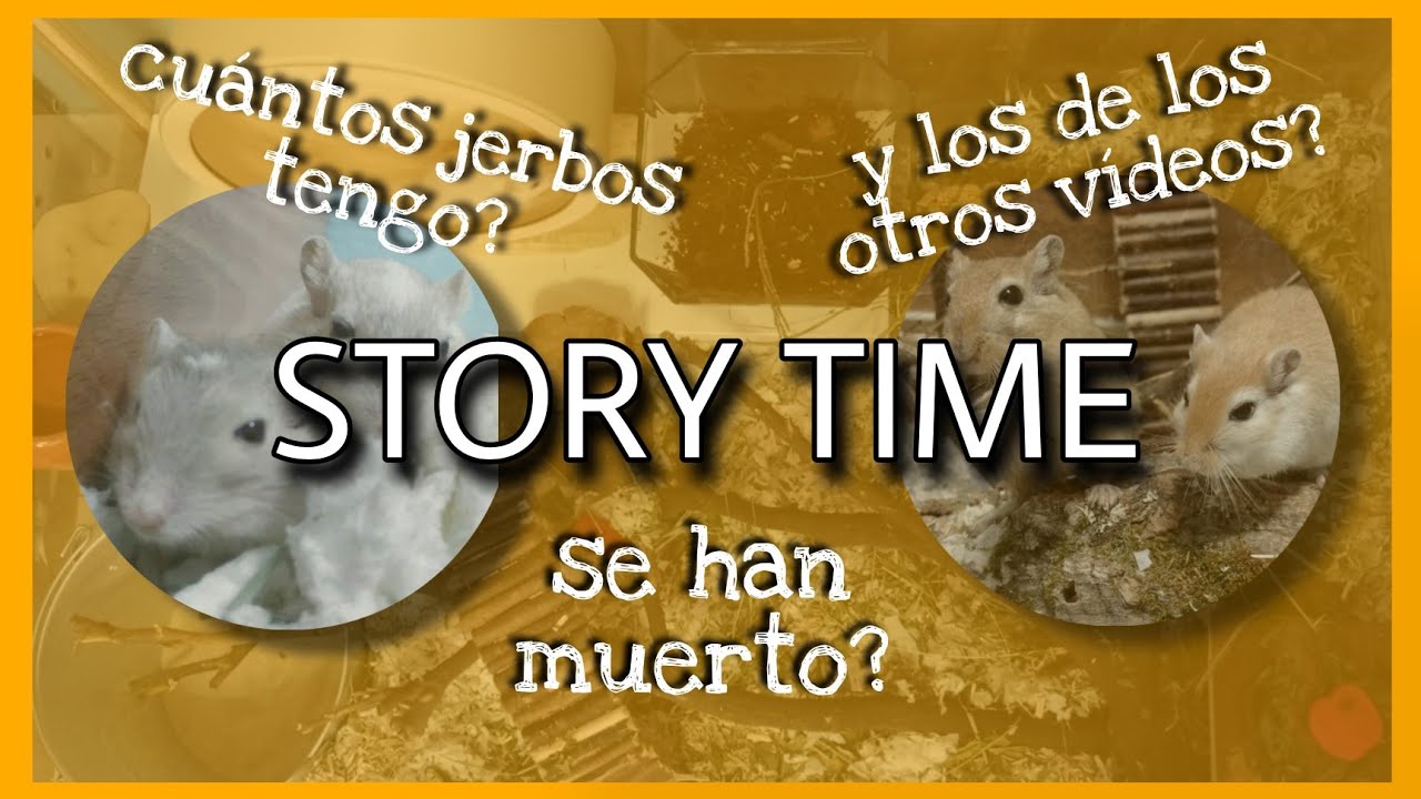 Limpiando a los jerbos + STORY TIME: tengo 5 jerbos? y los de los otros vídeos? // temática natural