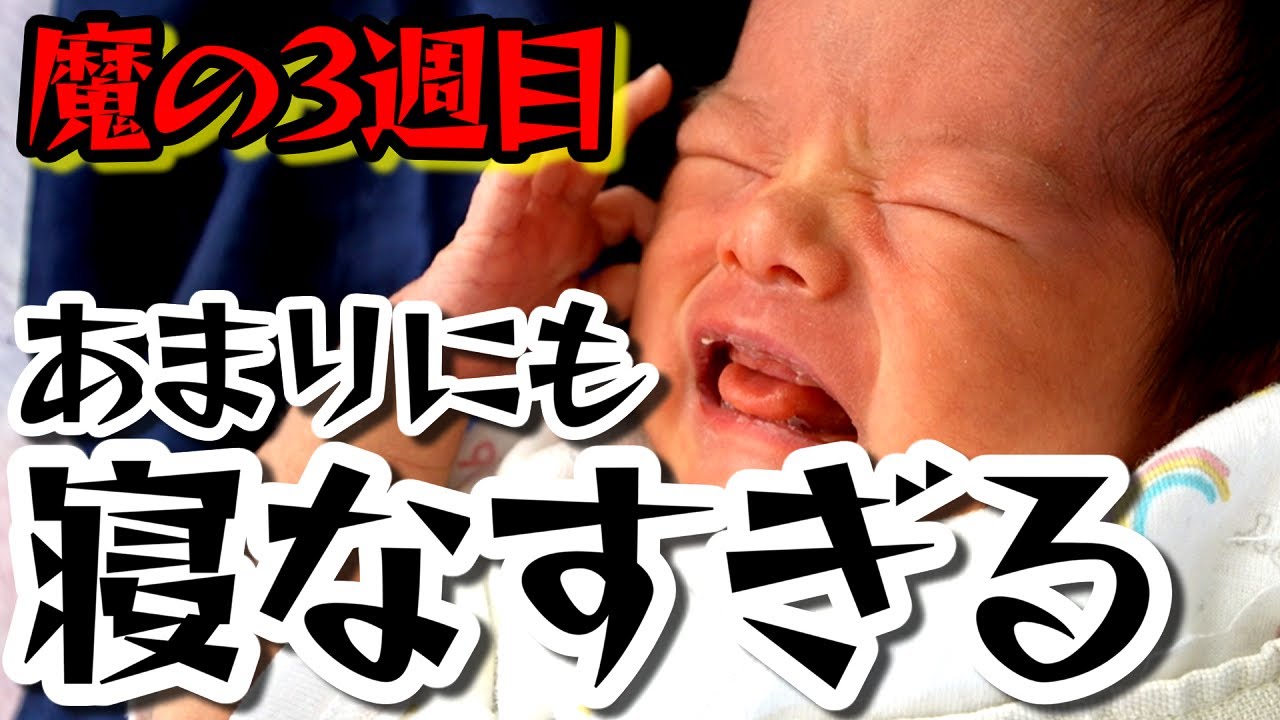 【魔の3週目】絶対に寝ない新生児 VS 切実に寝てほしい親 地獄の平日ルーティン 【子育てVlog】