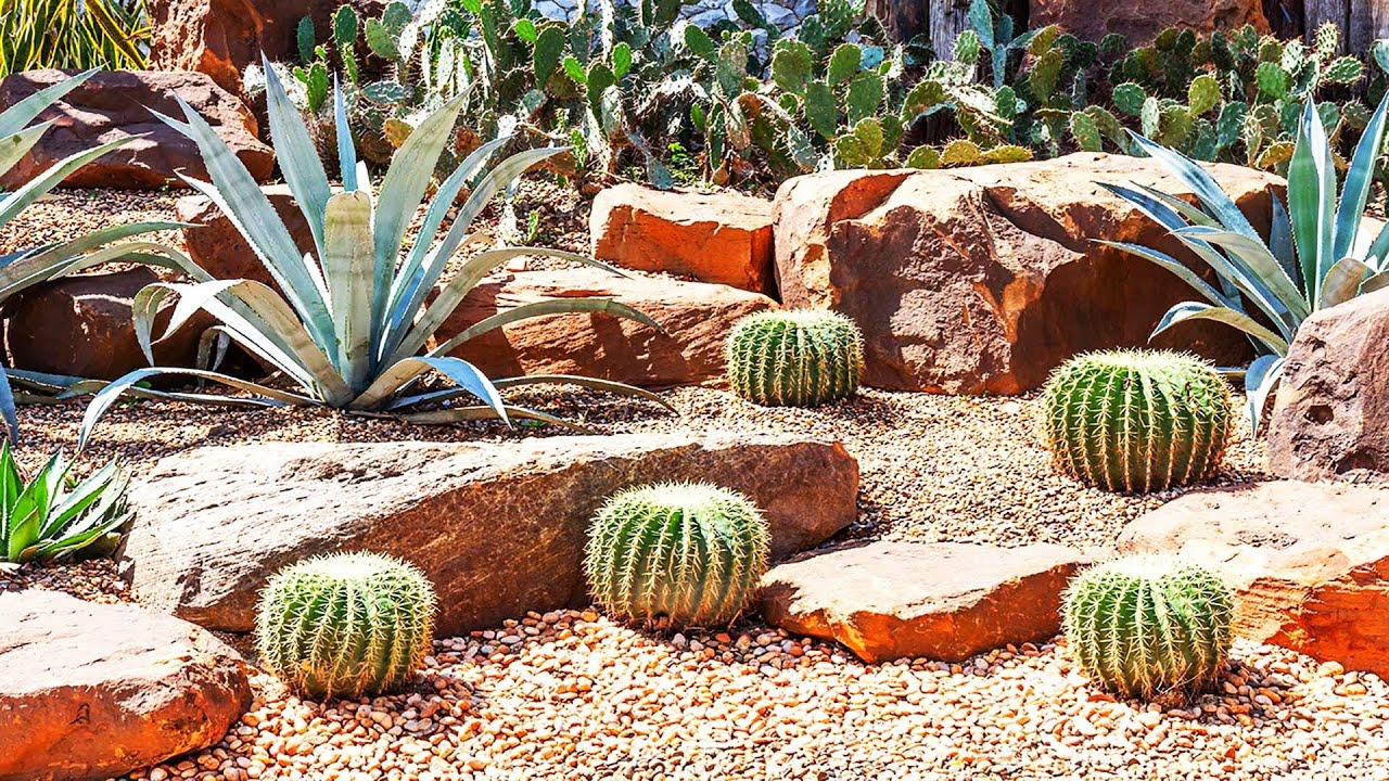 BACKYARD XERISCAPE GARDEN LANDSCAPING DESIGN IDEAS | HOW TO BUILD ECOFRIENDLY LOW MAINTENANCE GARDEN