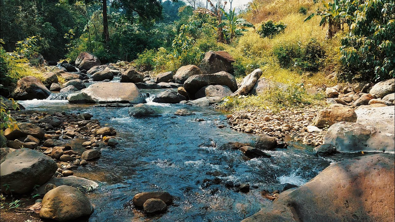 Deep Relaxation & Better Sleep • Soft River Stream Flowing Through Stones in Warm Forest Light
