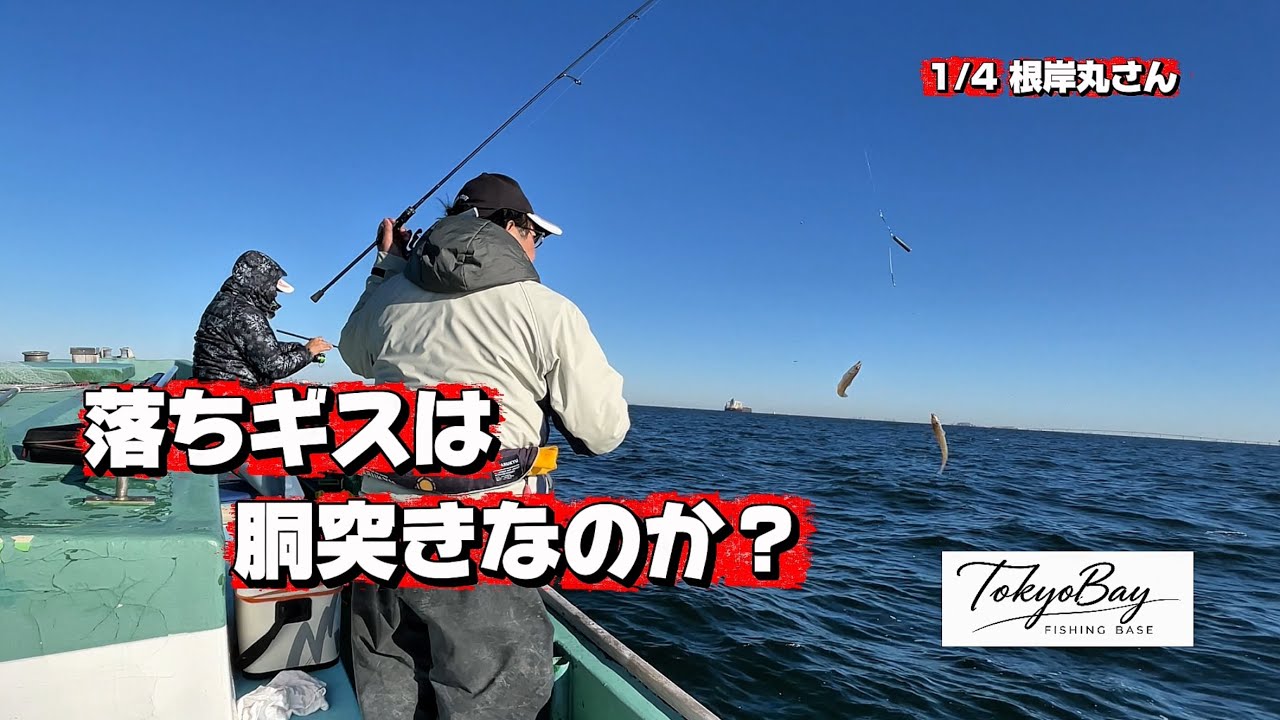 落ちギスは天秤じゃ胴突きに勝てないのか⁉️ はまゆうの苦悩をお楽しみください