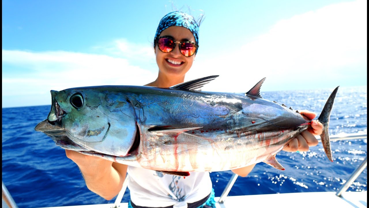 Light Tackle TUNA Fishing! CATCH CLEAN & COOK Skip Jack Tuna Sandwich
