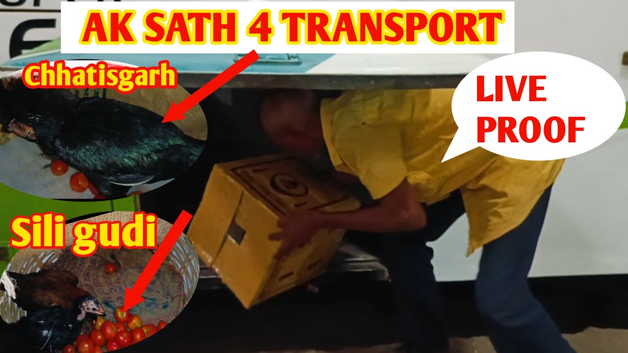Ak sath 4 transport 👍||murgi palan farming video #farming #murgi #singer sk farm 2.0