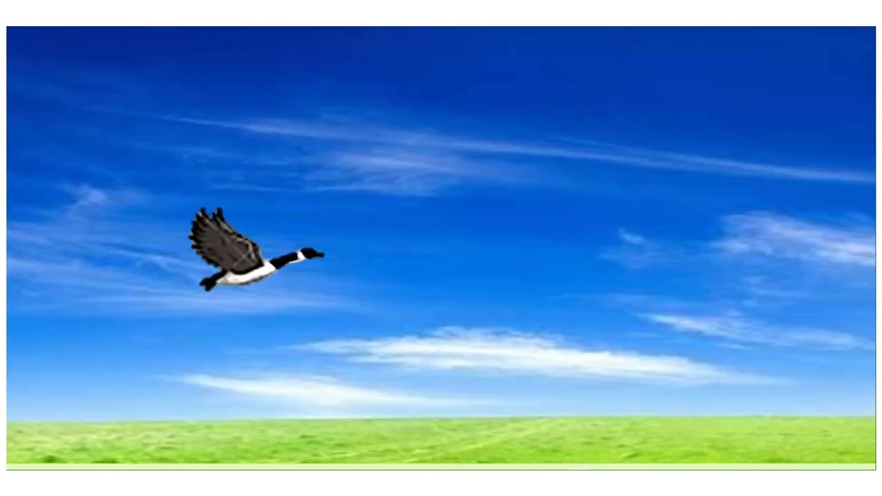 21. How to create Flying Goose and Moving Background animation slide in PowerPoint Easy step by step