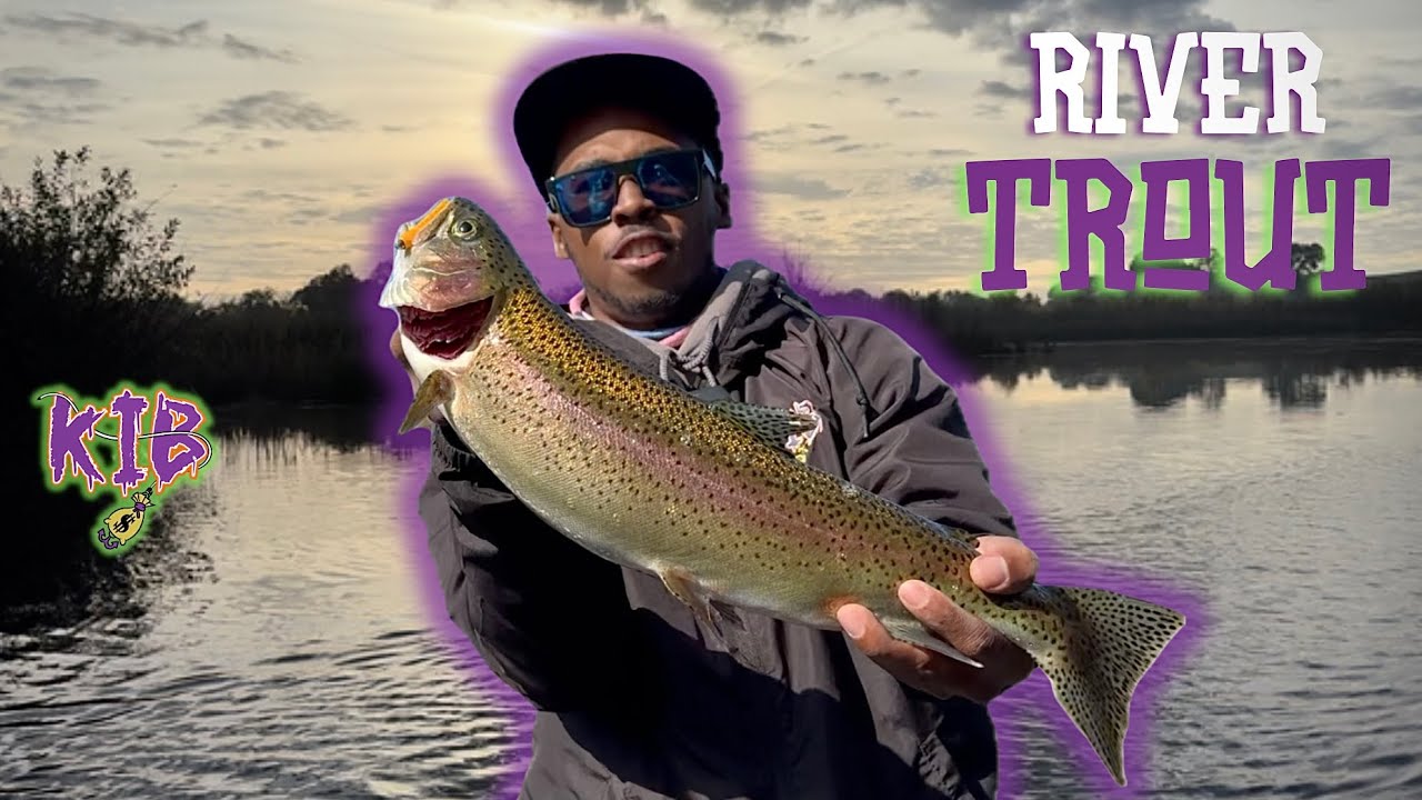 Hard Fightin’ Rainbow Trout On The River