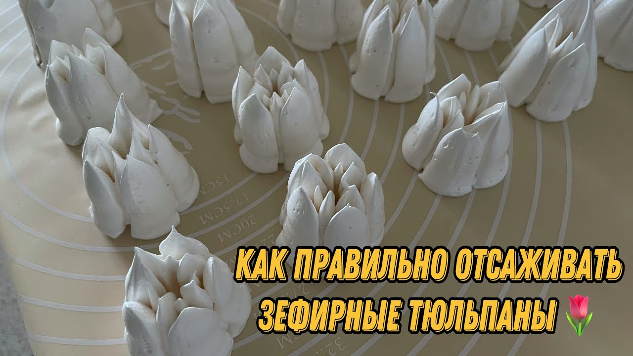 КАК ПРАВИЛЬНО ОТСАЖИВАТЬ ЗЕФИРНЫЕ ТЮЛЬПАНЫ