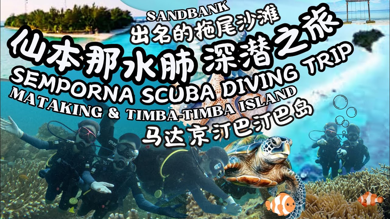 【 仙本那水肺深潜之旅 | Semporna Scuba Diving Trip 】汀巴汀巴岛 Timba Timba Island, 马达京 Mataking, 邦邦岛 Pom Pom Island