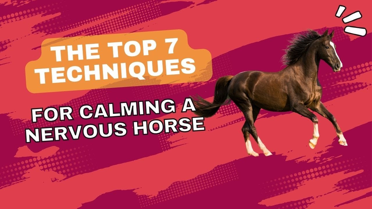 The Top 7 Techniques for Calming a Nervous Horse