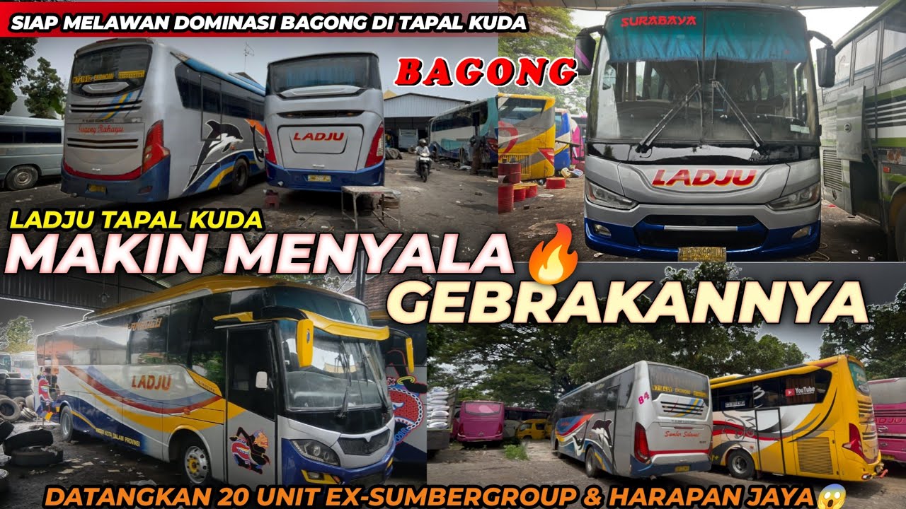 MAKIN PANAS PERSAINGAN BUS TAPAL KUDA🔥❗SIAP MELAWAN BAGONG, LADJU datangkan 20 bis Ex-Sumbergrup 😱